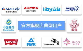 臺(tái)州飛速網(wǎng)絡(luò) 一站式網(wǎng)站建設(shè)、淘寶代運(yùn)營與優(yōu)化服務(wù)專家